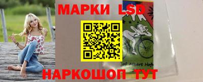 гидра Будённовск
