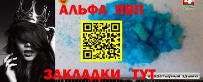 гидра Будённовск
