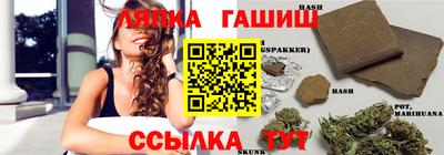 гидра Будённовск